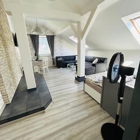 Apartman Theresa Decin Extérieur photo