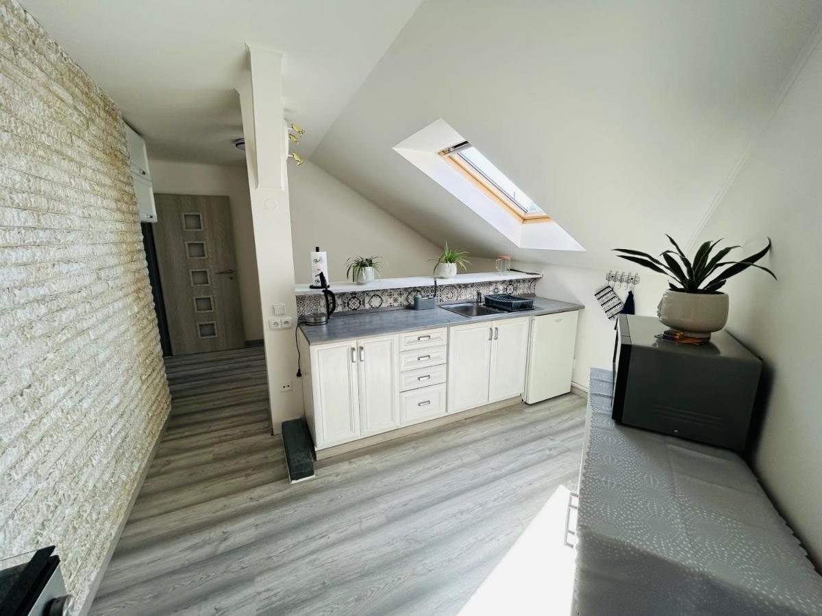 Apartman Theresa Decin Extérieur photo