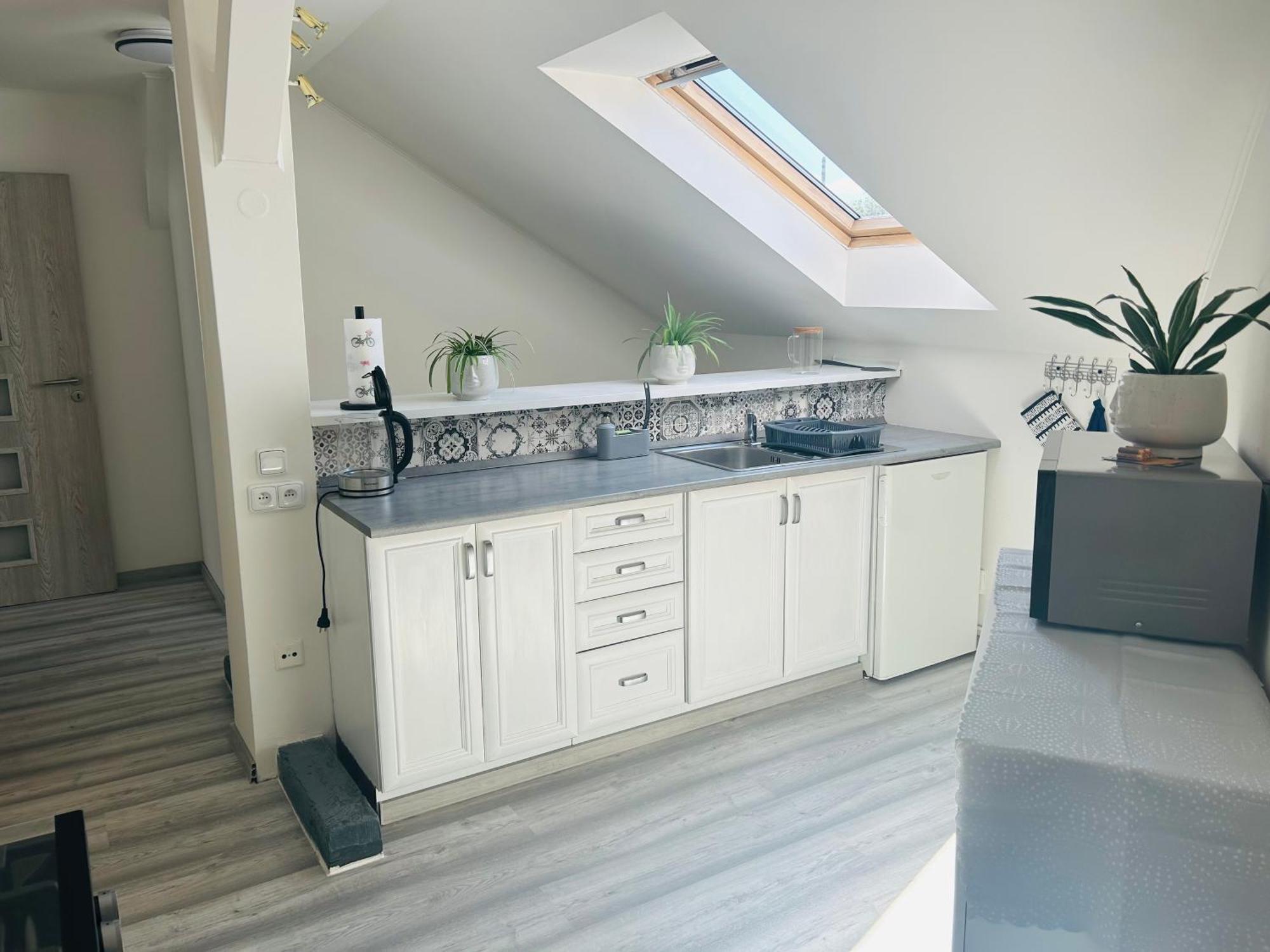 Apartman Theresa Decin Extérieur photo
