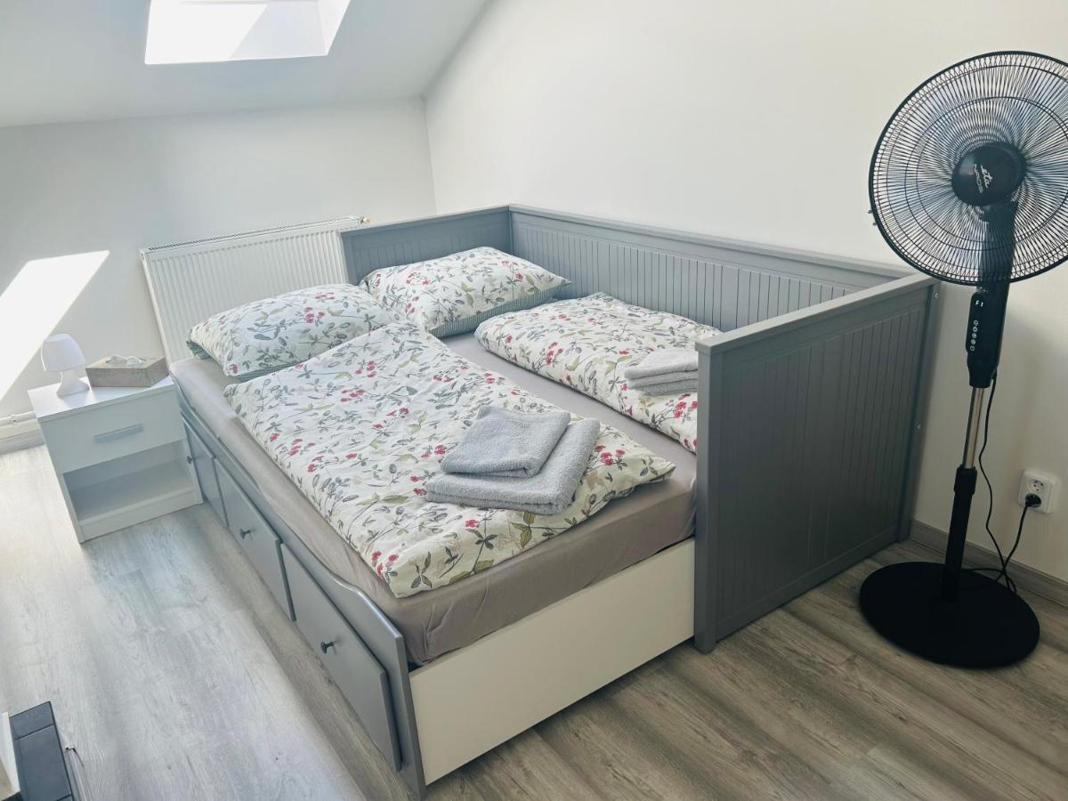Apartman Theresa Decin Extérieur photo