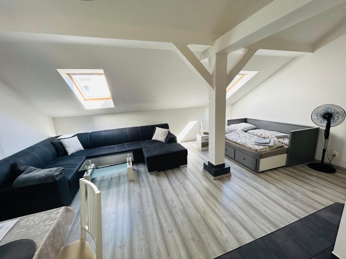 Apartman Theresa Decin Extérieur photo