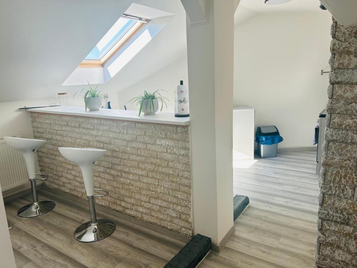 Apartman Theresa Decin Extérieur photo